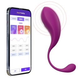 app smart wireless sex egg